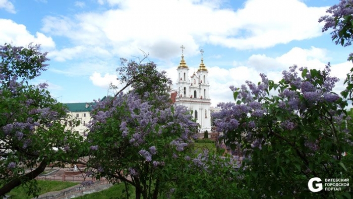 Ратуша-Витебск