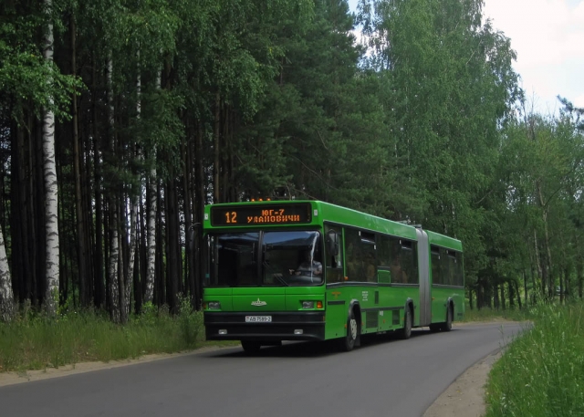 витебск 12 автобус