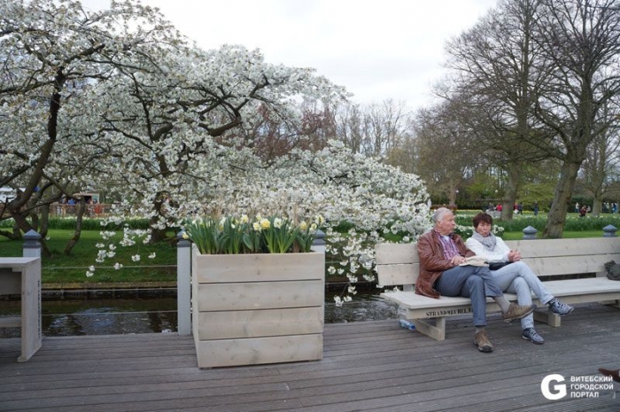 Парк цветов в Амстердаме