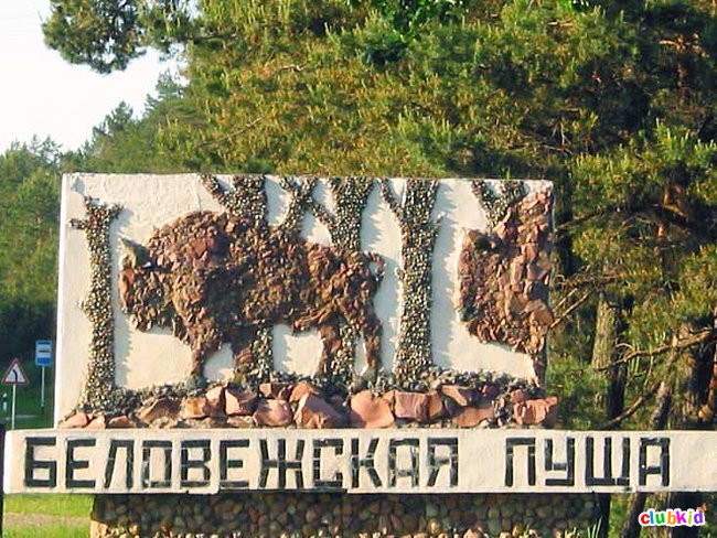 Национальный парк "Беловежская пуща" 