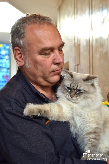 Выставка кошек в Витебске