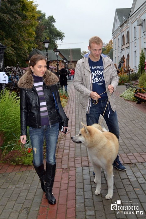 Осенняя выставка собак в Витебске