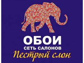 Пестрый слон. Сеть салонов обоев в Витебске