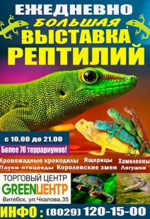 Большая выставка рептилий