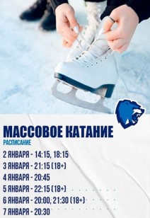 Массовые катания на коньках