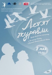 Летят журавли 16+