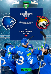 «Витебск» — «Гомель»