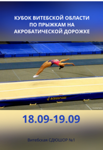 Кубок Витебской области по прыжкам на акробатической дорожке