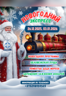 Авторский тур «Новогодний экспресс 2025-2026»