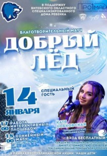 Благотворительный хоккейный матч "Добрый лед"
