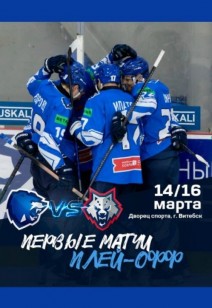 Матчи плей-офф «Витебск» — «Металлург»