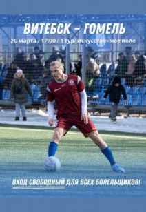Матч «Витебск - Гомель»