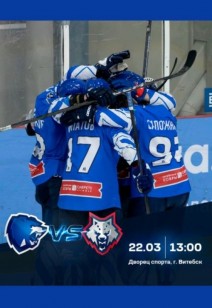 Матч «Витебск» – «Металлург»