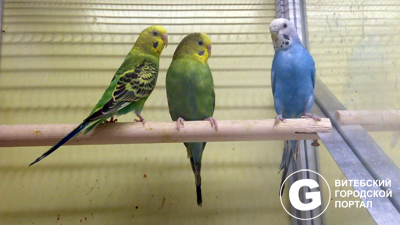 0-02-04-267cf6312cf6fb7765a32c4e1b2d7acba55ff38d885022902290a6d6fc4f0155_e49fe87b