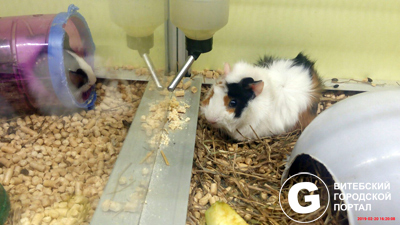 0-02-04-2b352b56da0800461edeb2592a8dd842127f6055a237e813bcf54c9368b71da2_1d08f10b