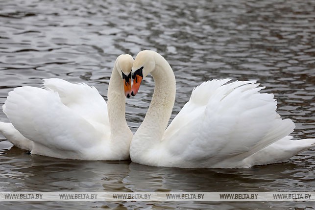 000023_08138241ea3a74d8432583ae0047e4fe_847455