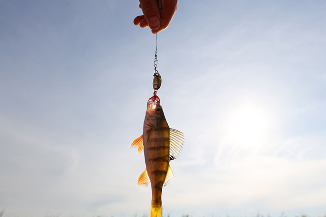 746ee61122dc4ec2163944011ef145f3