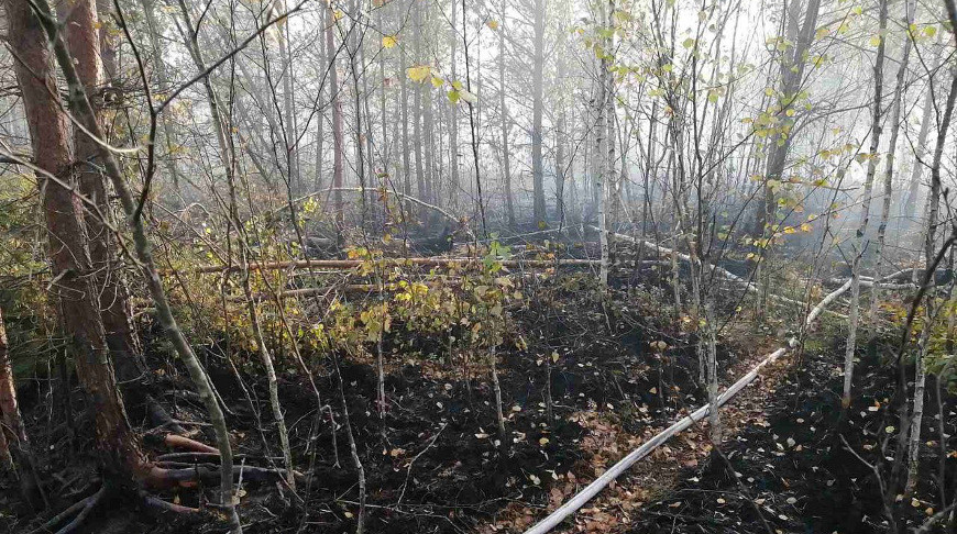 000022_1696223310_591374_big