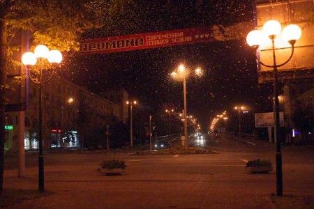 ephemeroptera-mayfly-vitebsk-20130728-03-450x300