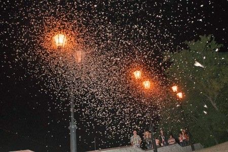 ephemeroptera-mayfly-vitebsk-20130728-09-450x300