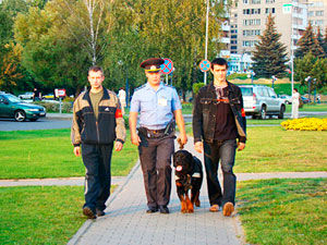 Девятый этап акции 