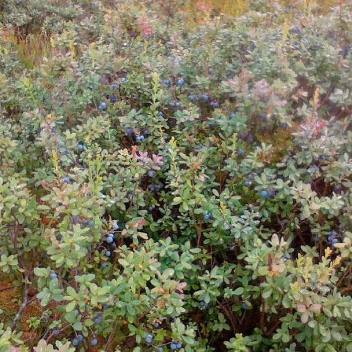 dbd296b89ac311e384e80ad1523c33b9_8