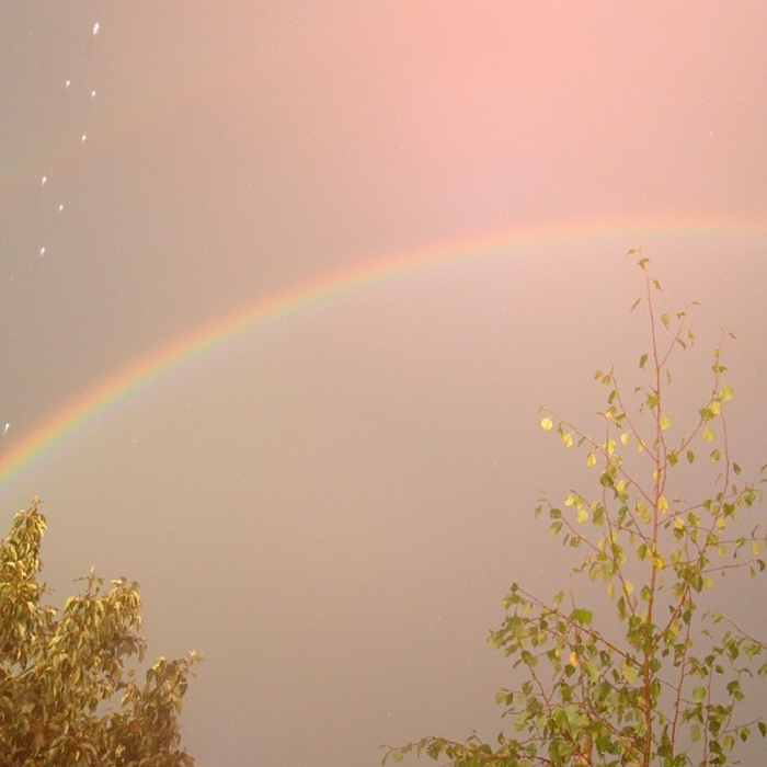 b94b69c69ac311e3b825122510c6161c_8