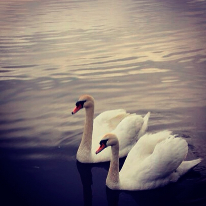 513ea9829c8b11e38a7412a7658140c3_8