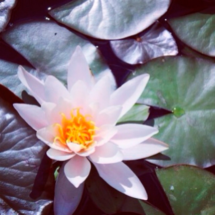 0ce05b0a9c8b11e3a44612995309b341_8