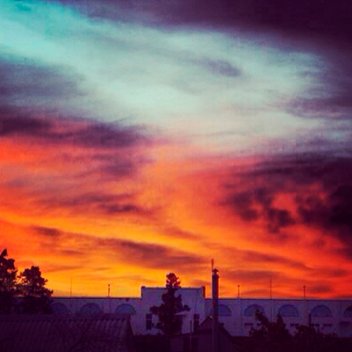 ccef49489c8a11e3a2f512616eb8225a_8