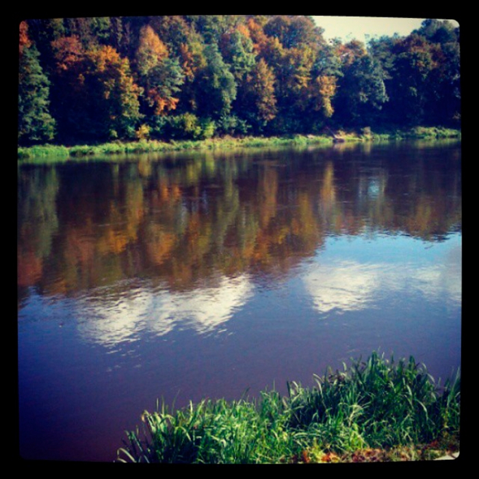 b53a4f14368c11e39edf22000ae916b0_8