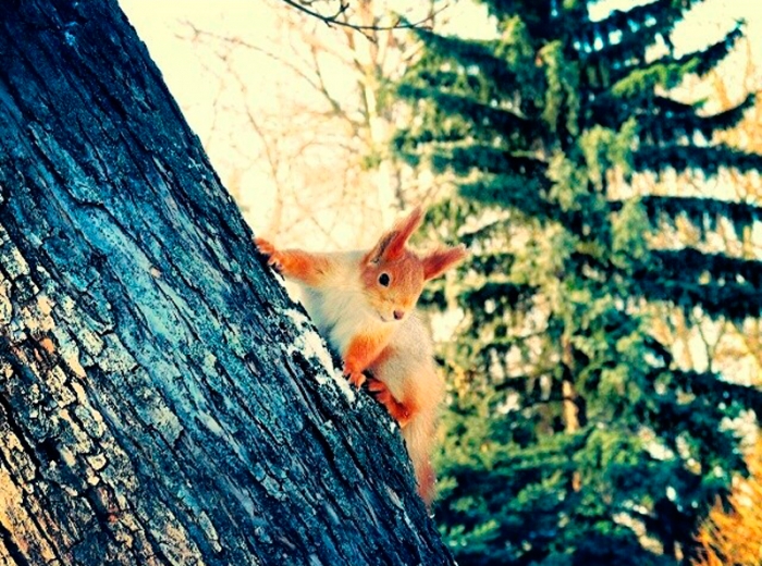 403b8d30537011e3b14a125e3df59dac_8