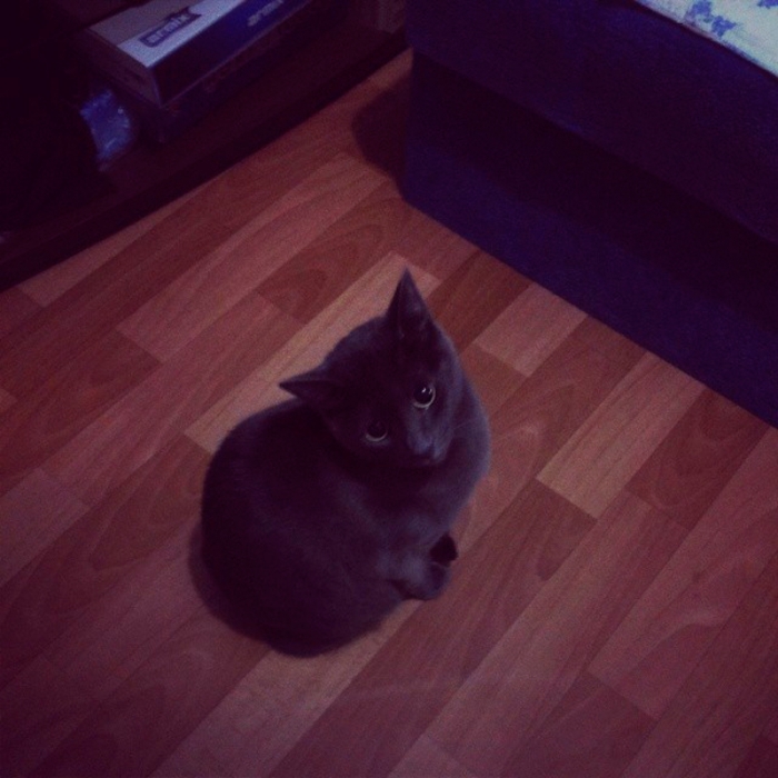 86819e4c9a5b11e3a74212fe6b8d01d0_8