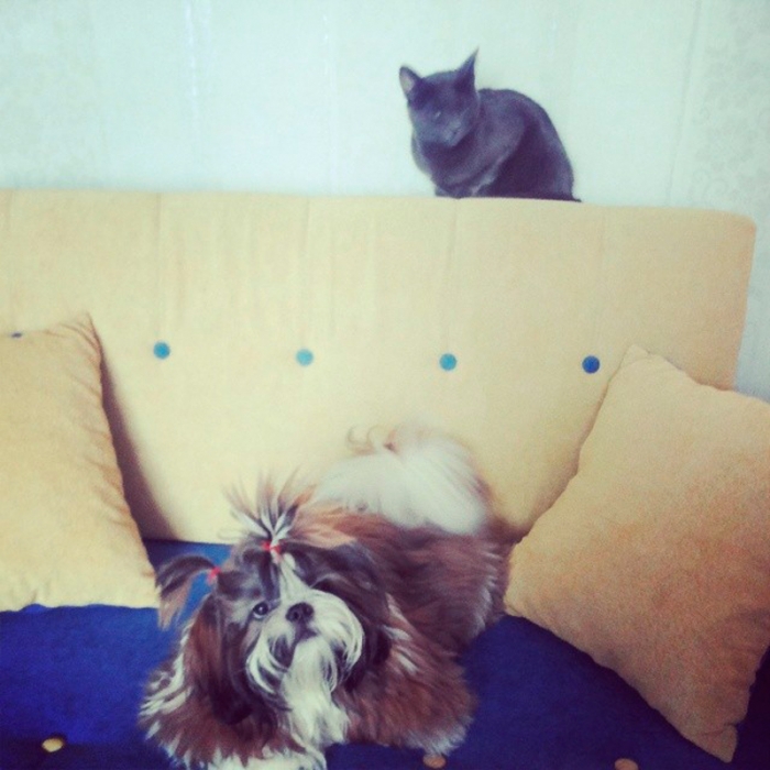 3192ac289c7211e38329129895db65ff_8