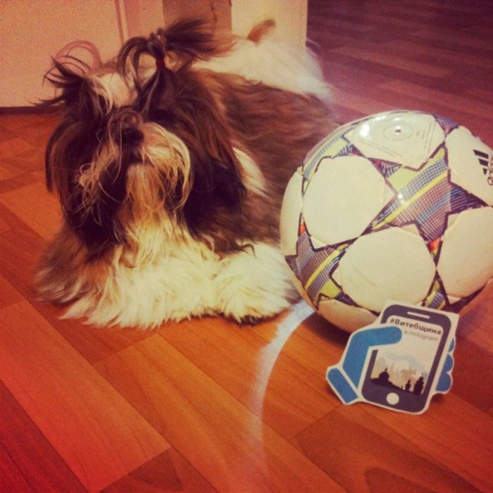 6651e7da9beb11e3b2c012ee27a14388_8