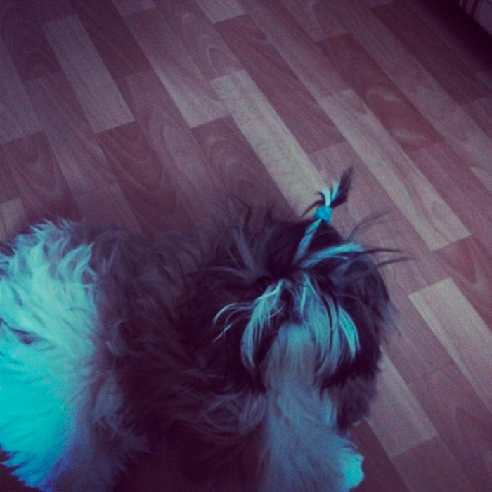 2297c76c970411e3aef612141806e92c_8