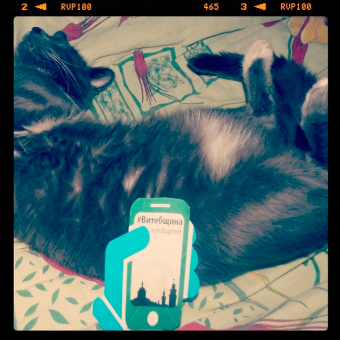 9b0e4f7a9bc511e3b6e2129386bf8e44_8