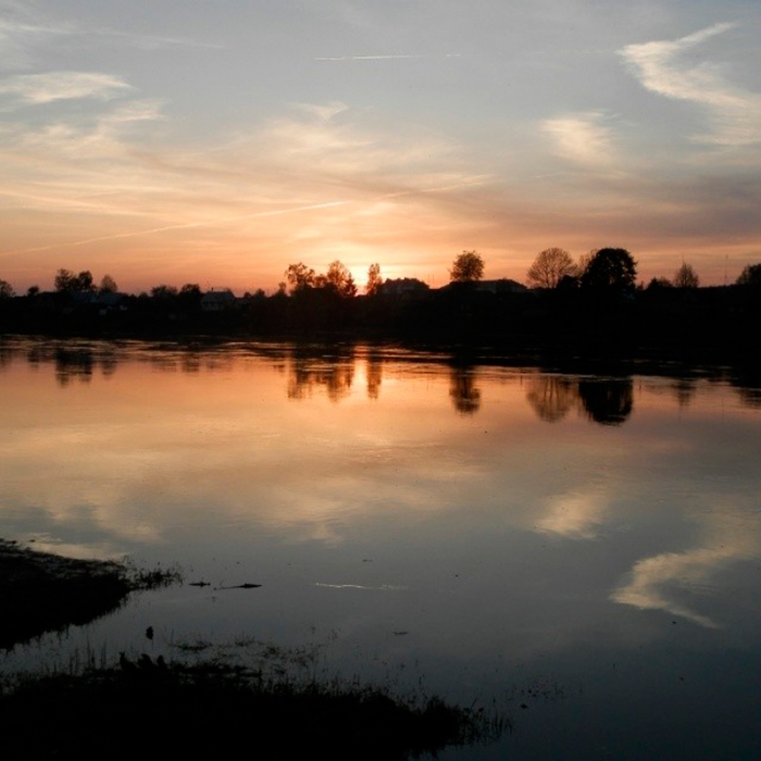 ebd28df69bc311e3a49812c91642242b_8