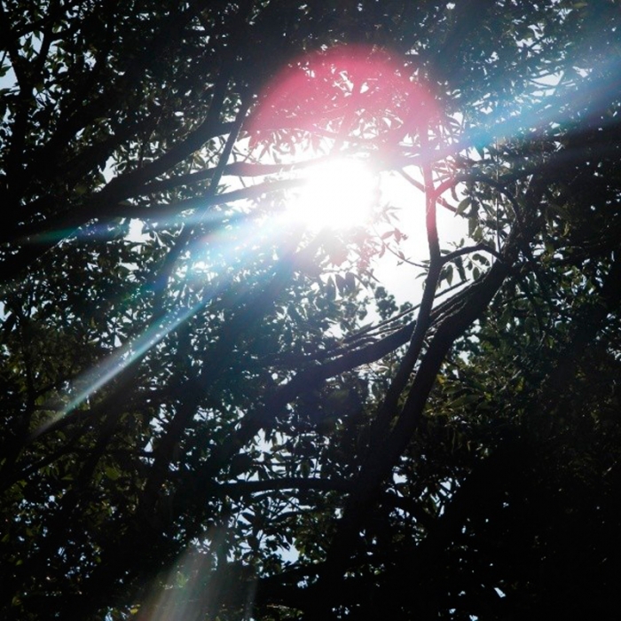 5d1bf9b09bc011e3bf101232d54577ff_8