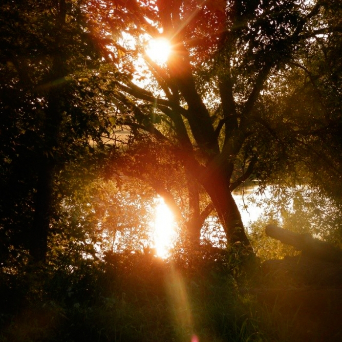 4ce23af89bc211e39963120fa72a09c2_8