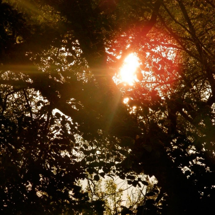 f7e3d7d29bc111e3985a12cdc6ac258a_8