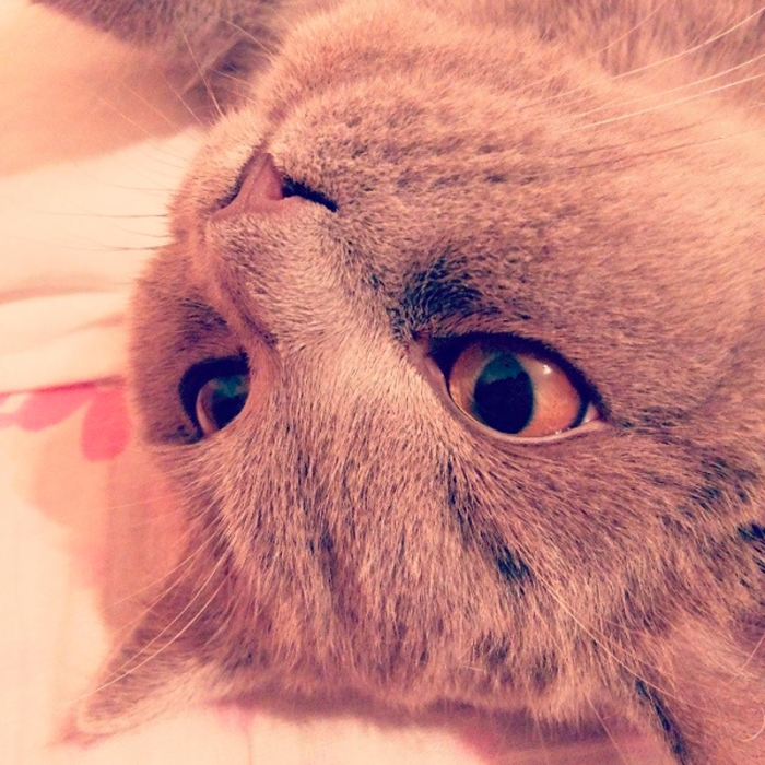 908bbe4a9a1a11e390a51214bb11cadd_8