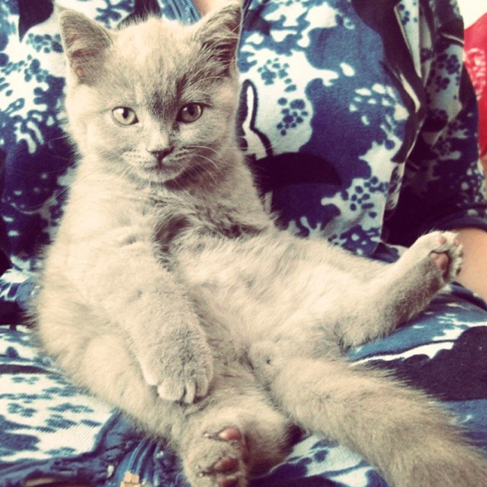 3ca020509a1a11e39166126eed24a06d_8