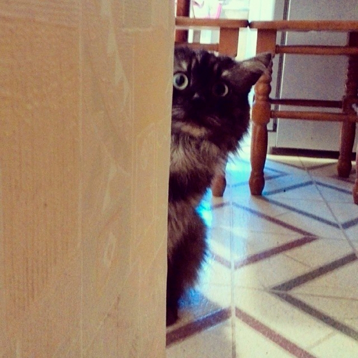 5ff0d88899f711e3b231121be1a27614_8