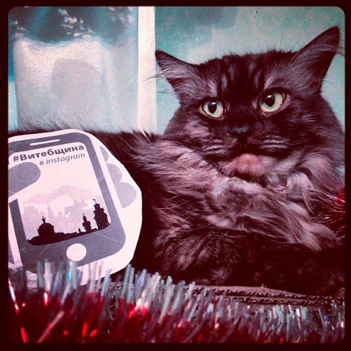 214e05529a5011e3936a1228422b95f5_8