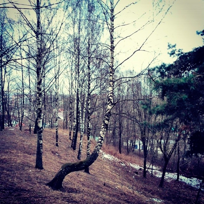 8843c3f499a211e3be8712f881f9015c_8