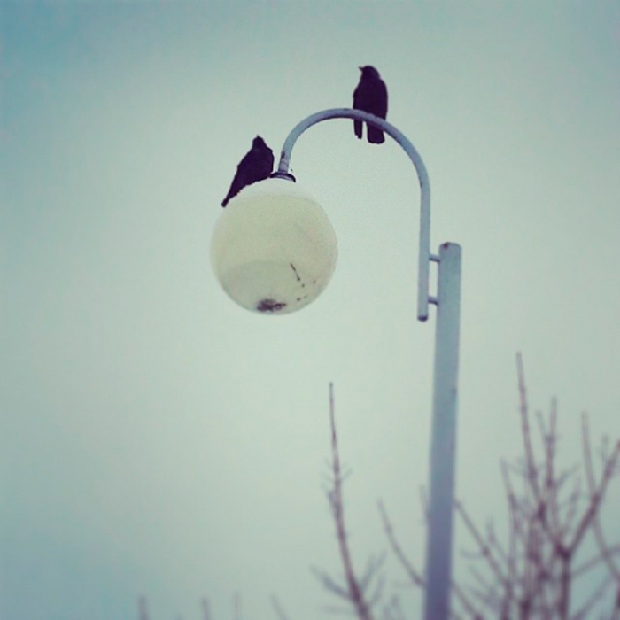 2eef314e6a6811e3b07612e345b804f1_8