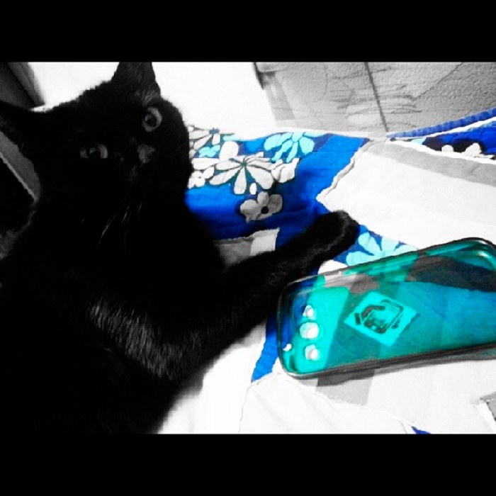 c9555938992b11e3ae6412cc2052207c_8