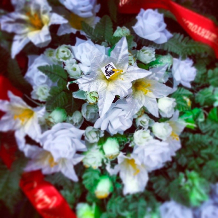 d762d4b69cbd11e3870e0efcc5f6d7df_8