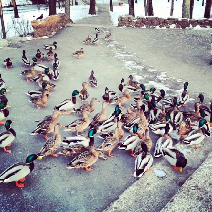 d424614a9cb111e38e691281ffd27b69_8